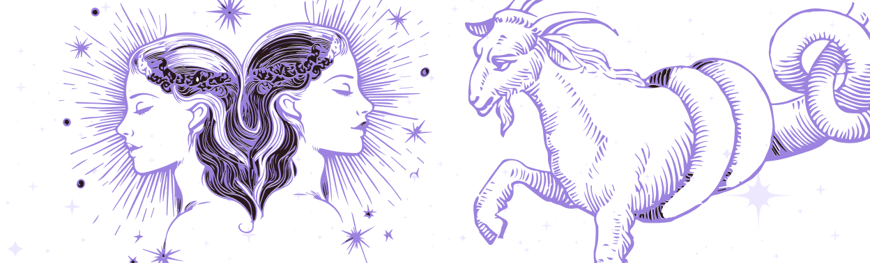 Близнецы и Козерог