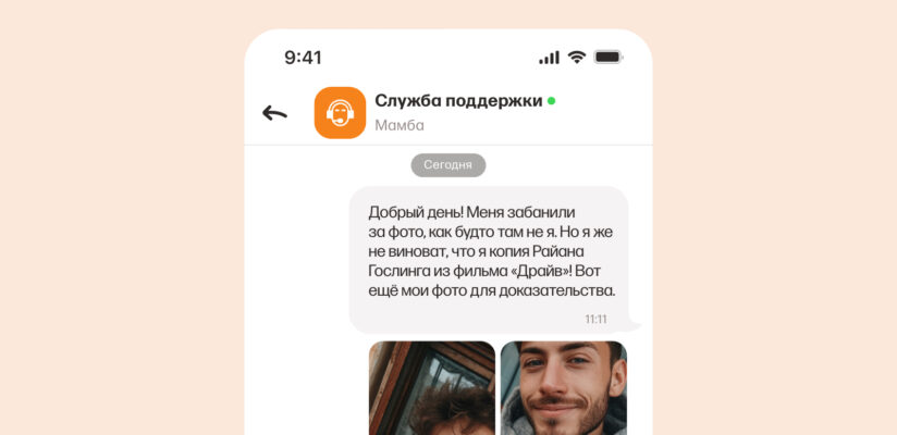 Мифы о банах на Мамбе: что правда, а что выдумка 10 Пример, как писать в службу поддержки