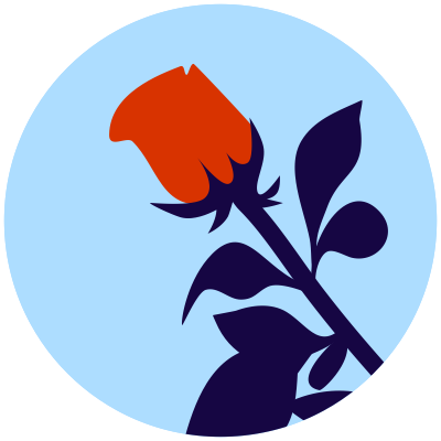 Как разнообразить секс: 6 идей для пар, которые хотят новых ощущений 2 Иконка роза