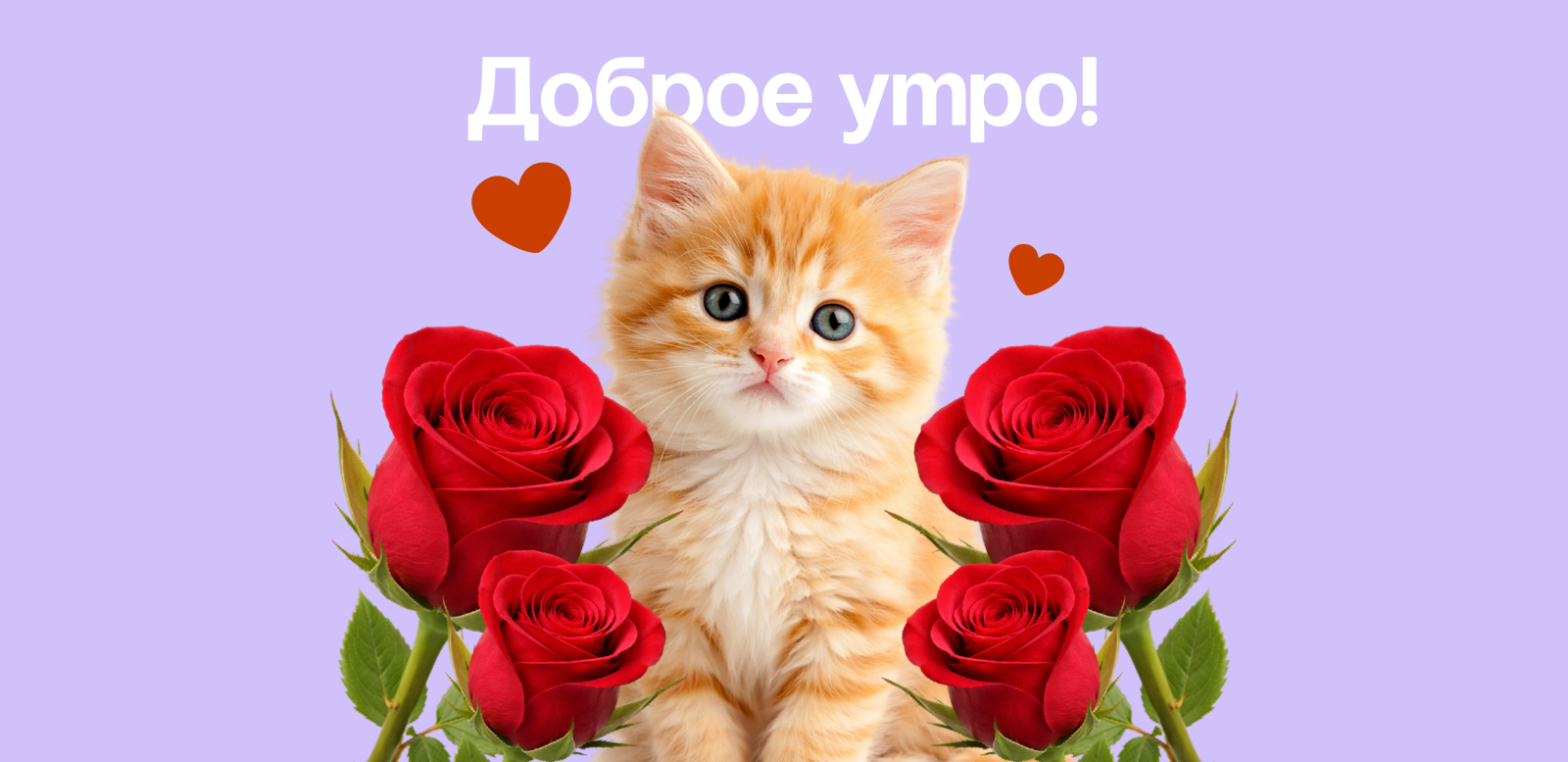 Как пожелать доброго утра любимому мужчине: что сказать, написать или приготовить